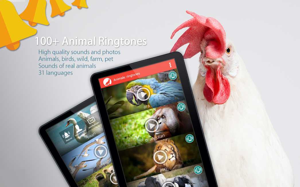 دانلود Animals: Ringtones 12.3 – برنامه صدای زنگ حیوانات برای اندروید