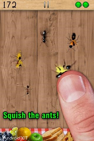 دانلود Ant Smasher 9.54 – بازی له کردن مورچه ها اندروید