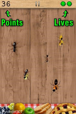 دانلود Ant Smasher 9.54 – بازی له کردن مورچه ها اندروید