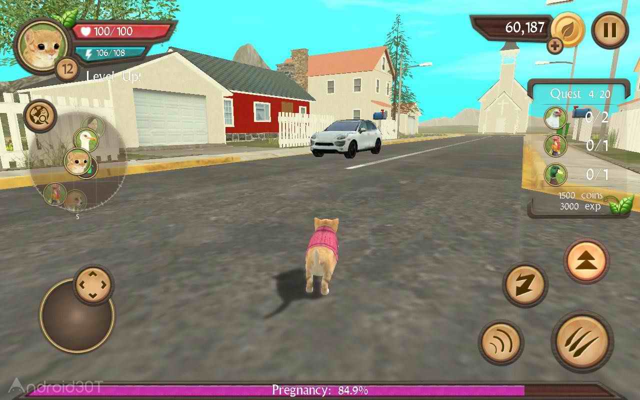 دانلود Cat Sim Online: Play with Cats 202 – بازی شبیه سازی زندگی گربه ها اندروید