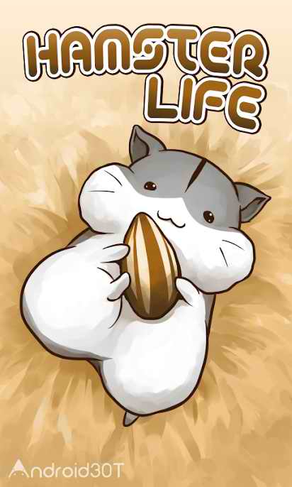 دانلود Hamster Life 4.7.5 – بازی جالب نگهداری از همستر اندروید