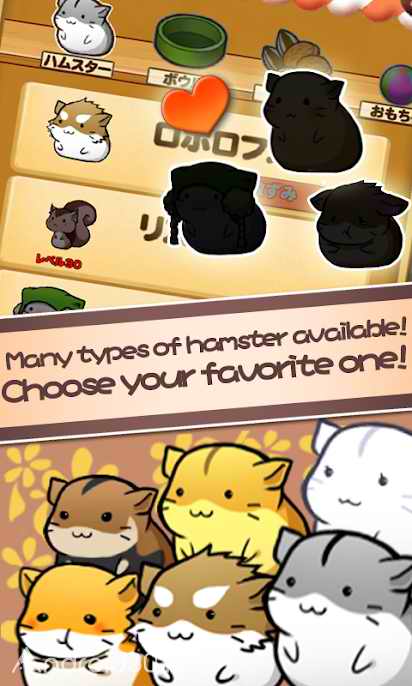 دانلود Hamster Life 4.7.2 – بازی جالب نگهداری از همستر اندروید