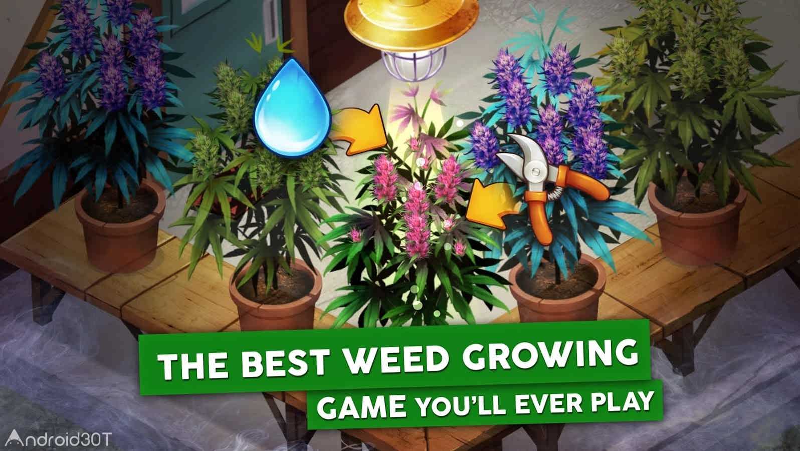 دانلود Hempire – Weed Growing Game 1.23.7 – بازی پرورش گل و گیاه آنلاین اندروید