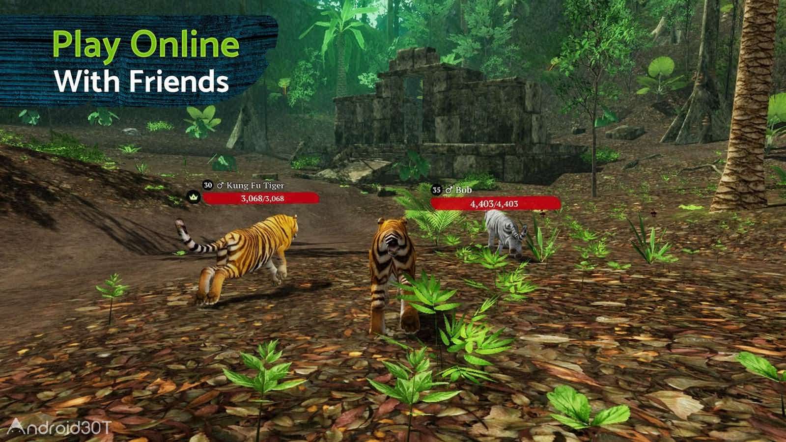 دانلود The Tiger 2.1.0 – بازی نقش آفرینی ببر اندروید