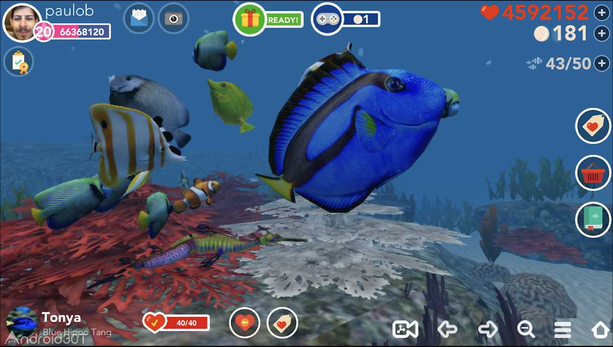 دانلود 1.0.5 Ocean Reef Life – بازی استراتژی زندگی در اقیانوس اندروید