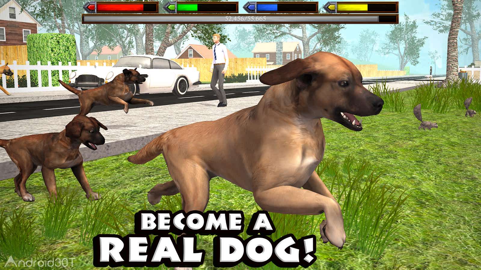 دانلود Ultimate Dog Simulator 1.1 – بازی شبیه سازی سگ اندروید