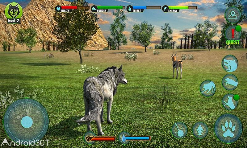 Ultimate Wolf Adventure 3D v1.0 – شبیه سازی زندگی گرگها اندروید