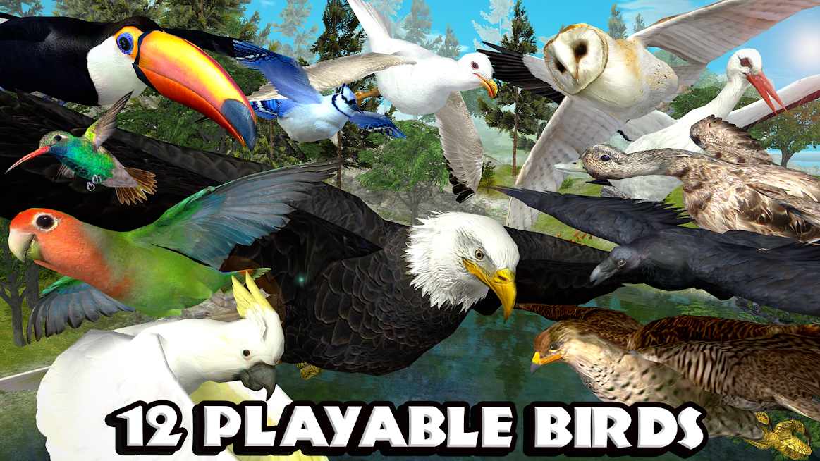 دانلود Ultimate Bird Simulator 1.3 – بازی شبیه سازی زندگی پرندگان اندروید