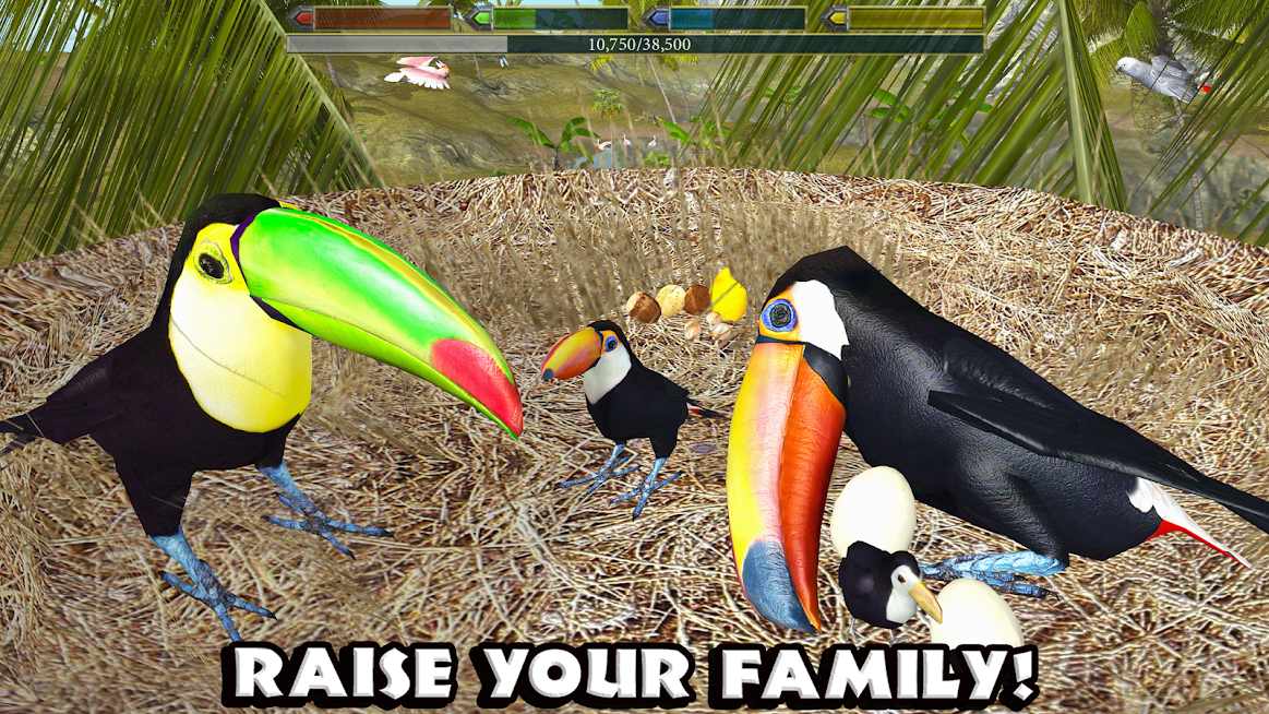 دانلود Ultimate Bird Simulator 1.3 – بازی شبیه سازی زندگی پرندگان اندروید