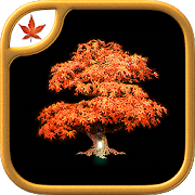 دانلود Fire Maple Games Collection 1.0.8 - بازی ماجراجویی برای اندروید