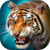 دانلود The Tiger 2.1.2 – بازی نقش آفرینی ببر اندروید