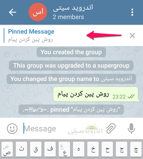 pin-telegram002