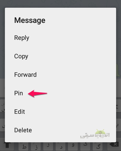 pin-telegram004
